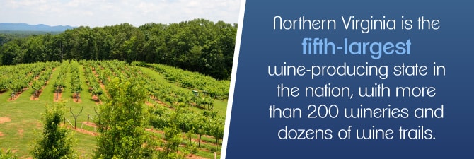 Your Guide To The Best Wineries In Northern Virginia