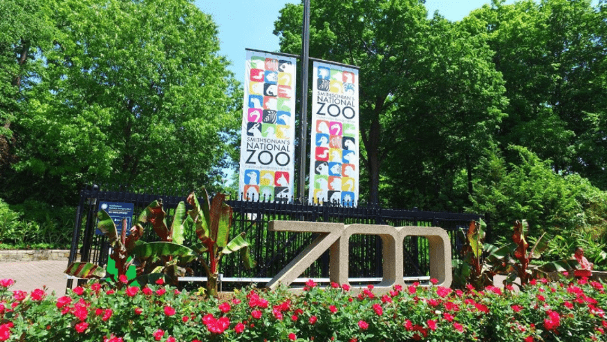  National Zoo 