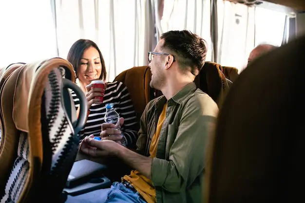 Mini Party Bus